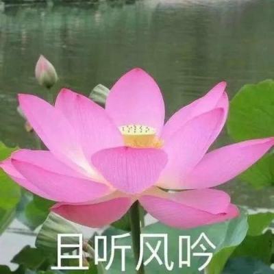 湖北“戏曲·编钟·交响音乐会”在香港上演